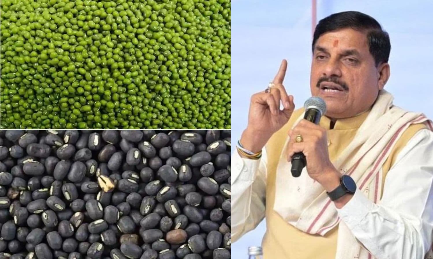 Moong MSP Purchase : मूंग-उड़द किसानों को बड़ी राहत! अब नॉमिनी के जरिए होगी MSP पर उपज की बिक्री